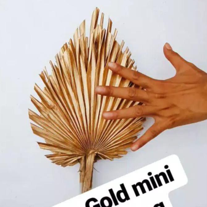 Hot Item Palem Gold Mini - Palem Kering - Palem Gold 