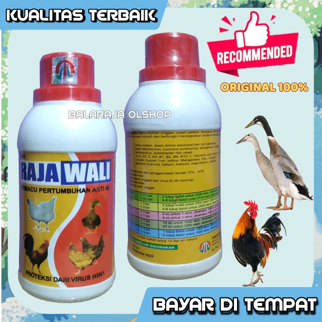 Vitamin Pemacu Pertumbuhan Unggas Ayam Bebek Burung Puyuh Obat Penambah Nafsu Makan Penggemuk Hewan Ternak Rajawali 250ml