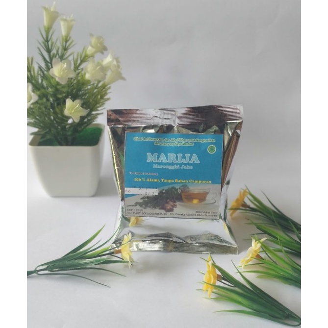 

MARIJA / MARONGGI JAHE / Daun Kelor Jahe 100% Alami, Tanpa Bahan Campuran