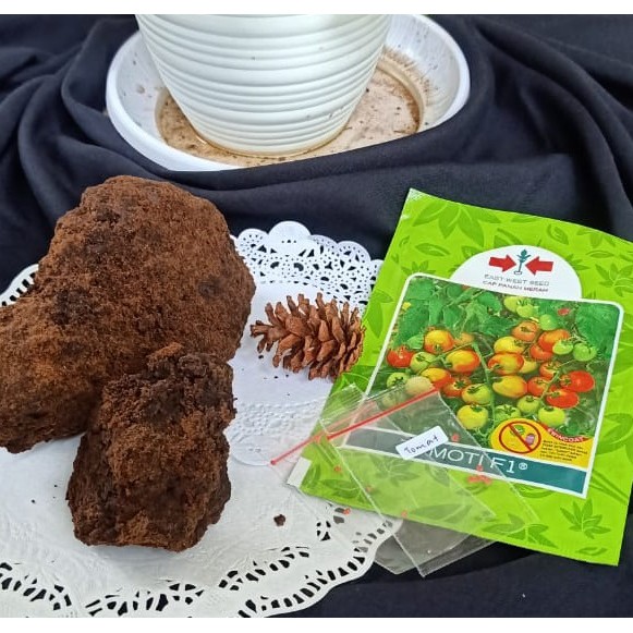 Gula merah tebu asli /outeng /molase kering 1 kg bonus benih tomat