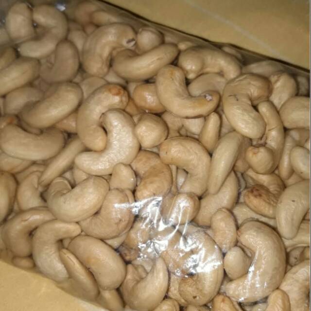 

Kacang mente mateng