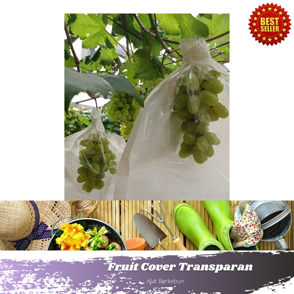 Fruit Cover Transparan Pembungkus Buah Anggur Import