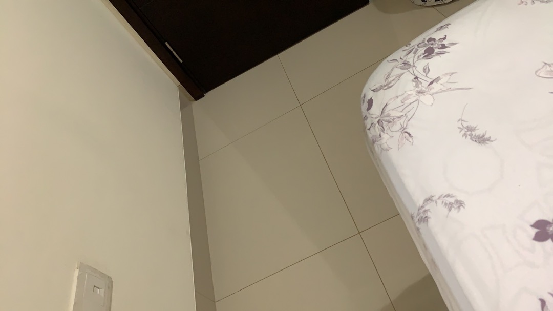 Ember Plastik Plus Tutup Ukuran Sedang 3gl