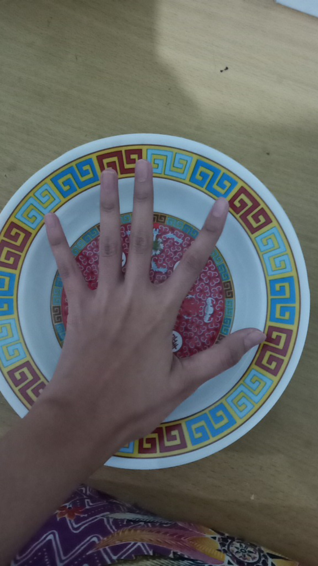 12 Pcs Piring Melamine Motif3