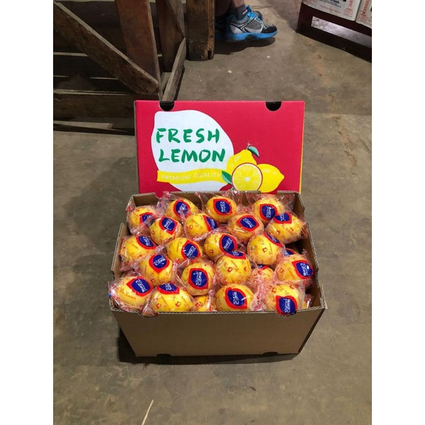 

bush lemon import