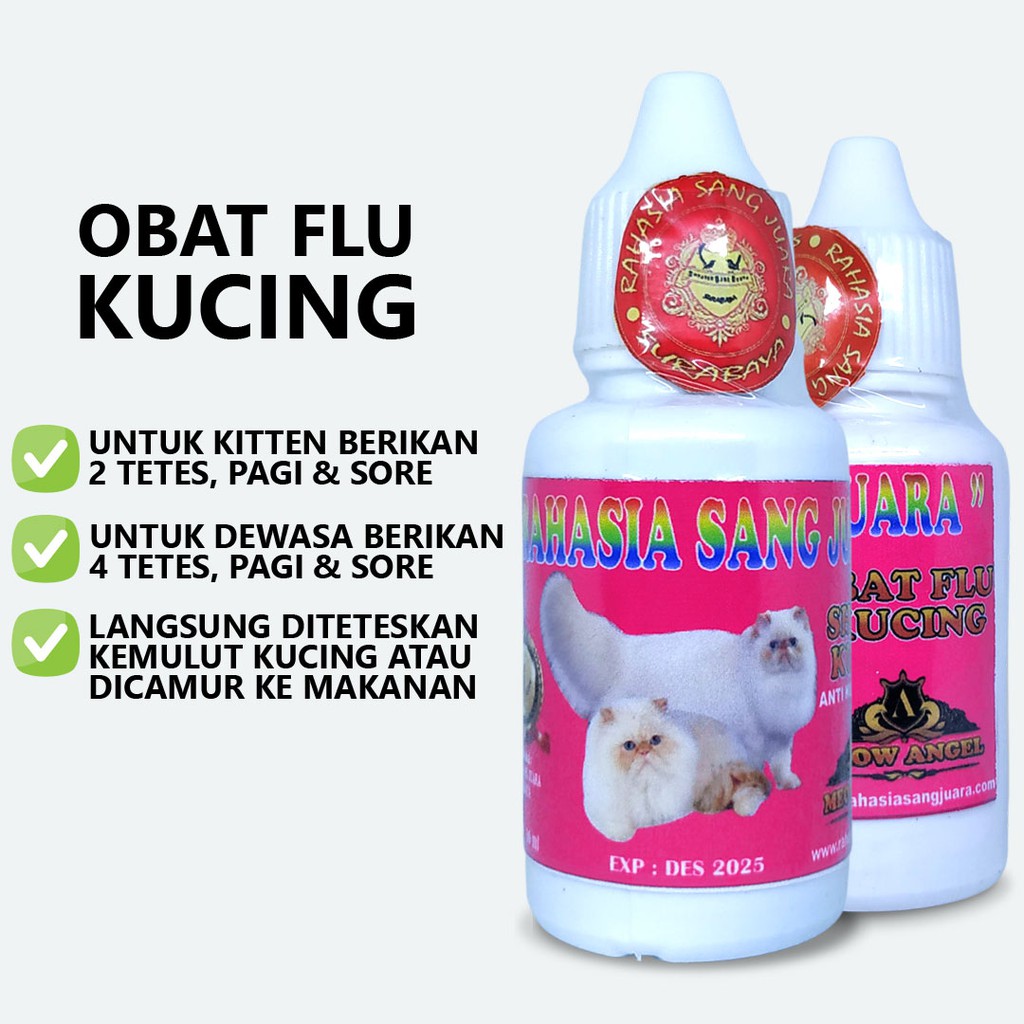 OBAT FLU KUCING AMPUH UNTUK KITTEN DAN DEWASA