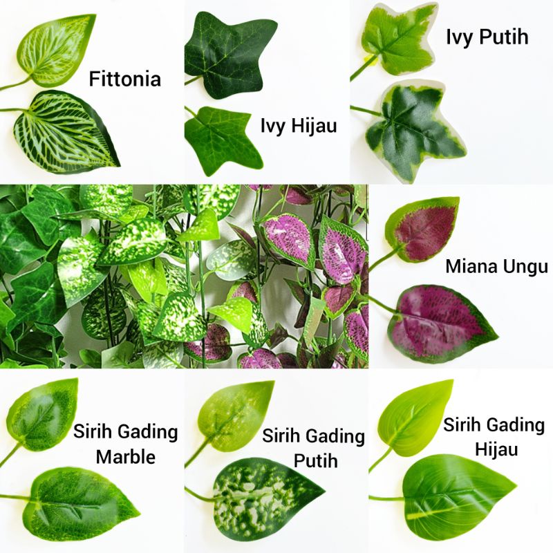 Untai Daun Rambat 99 Helai AL94 Ivy Fittonia Miana Sirih Gading Plastik Hiasan Dekorasi Wedding Backdrop Leaves