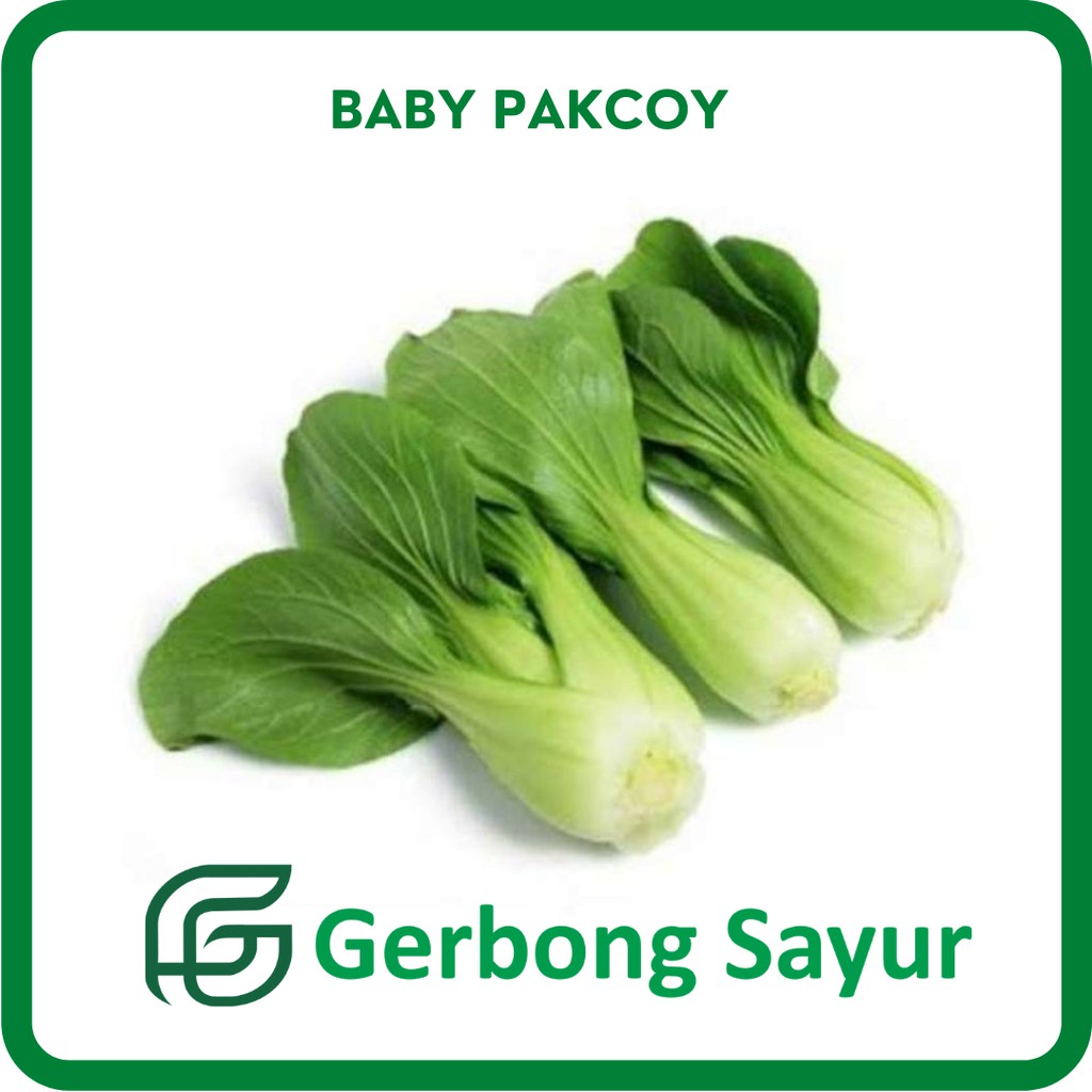 

Sayur Baby Pakcoy Segar – Pakchoi – Pokcoy - 250g