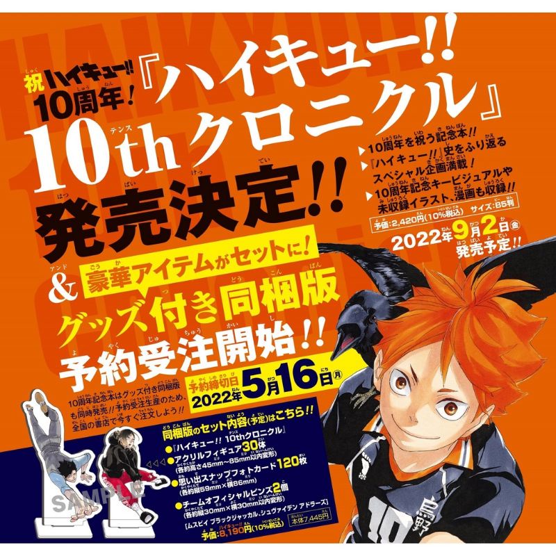 Open Split Haikyuu 10th Chronicle Bundle Edition (Link 1)