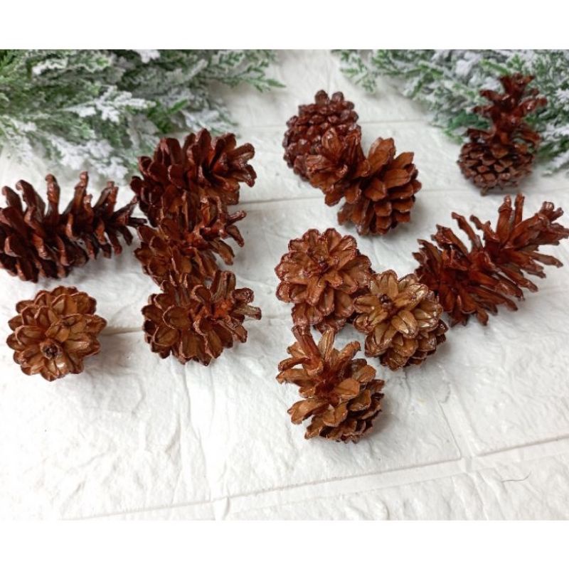 1 Pcs Buah Pinus Salju Tali atau Vernis Sedang Murah Hiasan Natal Christmas Assesories Decoration Proferty Photo Booth Dekorasi