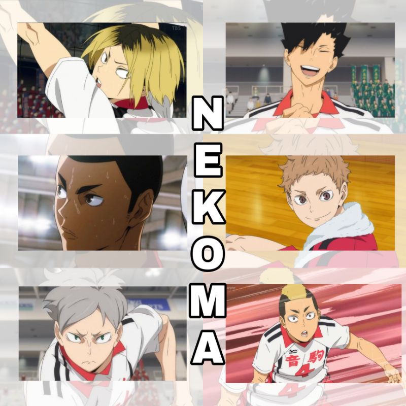 [ NEKOMA ] PHOTOCARD NEKOMA HAIKYUU 5 PCS