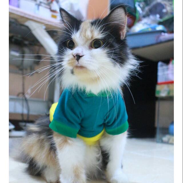 Kaos hijau half kuning lucu trendy untuk kucing dan anjing / baju kucing murah size S M L XL