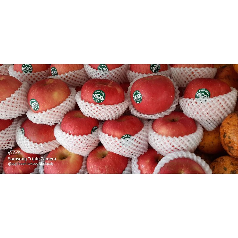 Apel fuji wang shan premium