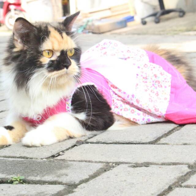 Dress princess motif bunga untuk kucing dan anjing / baju kucing imut / dress size S M L XL