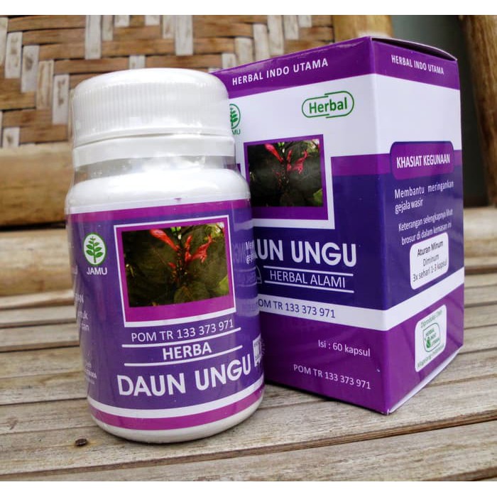 Kapsul Daun Ungu Hiu Daun Ungu Herbal Indo Utama Obat Wasir Shopee Indonesia