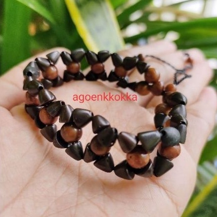 Gelang Anggrek hitam kokka kaokah