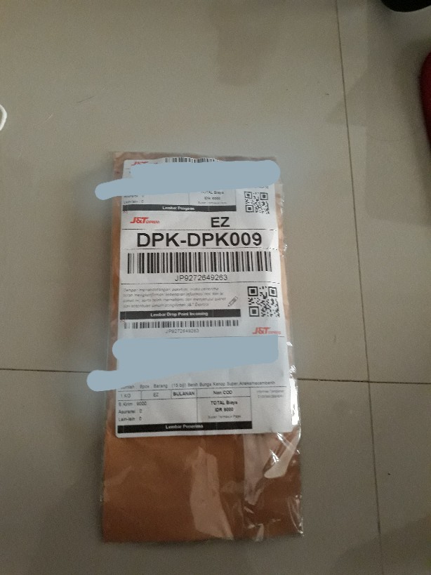 (isi 10 Butir)benih Blue Berry