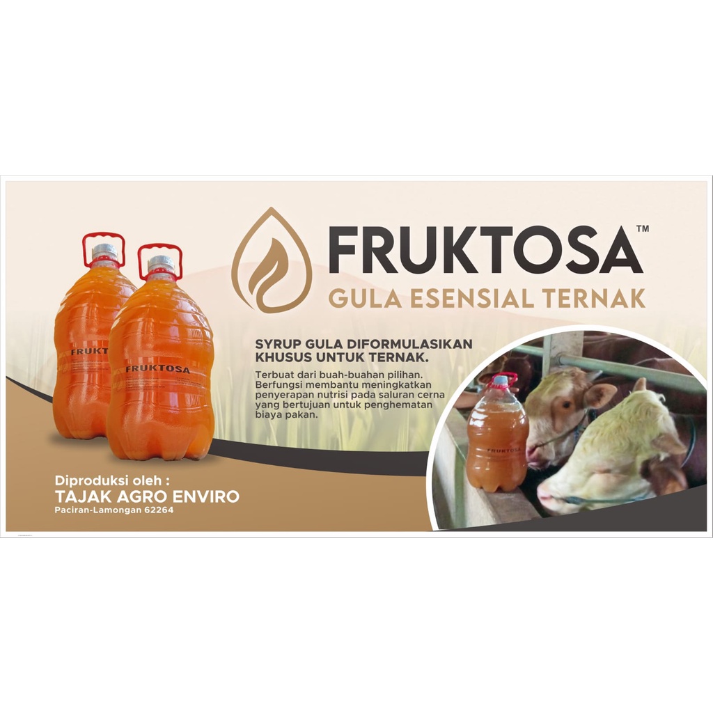 FRUKTOSA 1