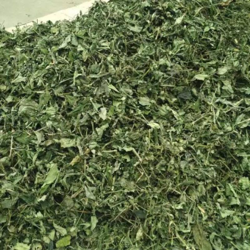 

Daun sambiloto kering 30gram