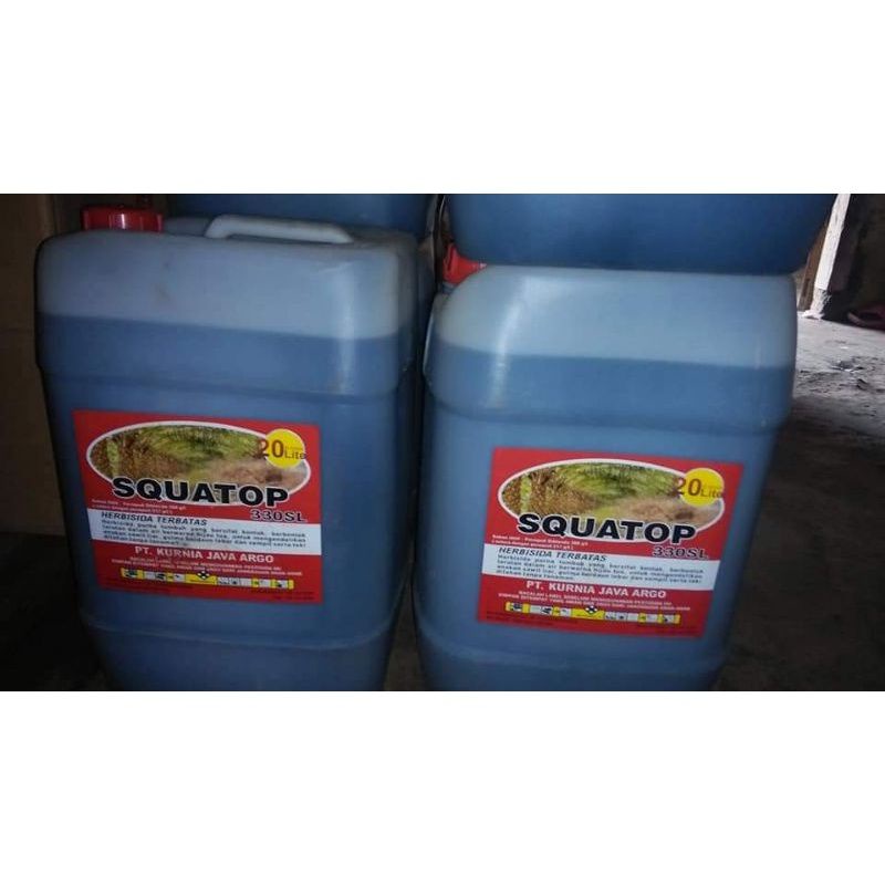 Herbisida SQUATOP 330 SL 20liter Obat Rumput Kontak Squatop