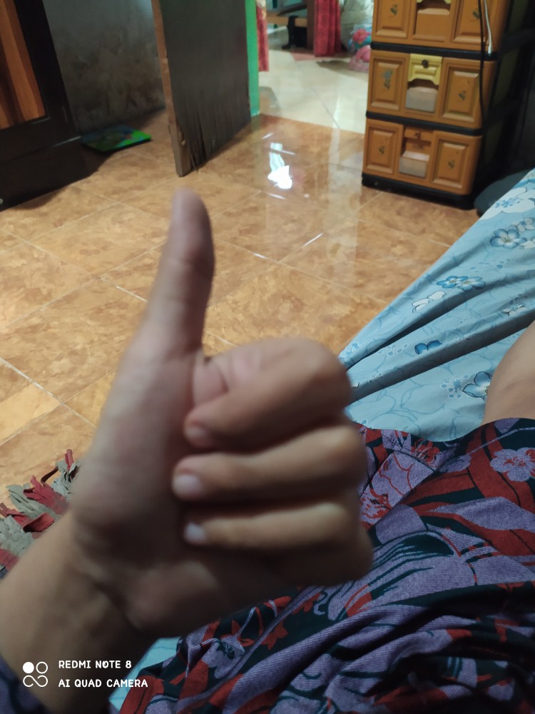 Rice Box - Tempat Penyimpanan Beras Kapasitas 12 Kg Maspion Mrd-12 / Mrd 12