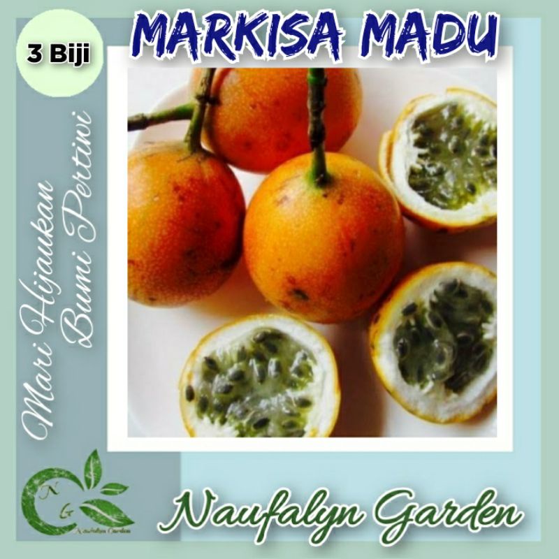 3 Benih Buah Markisa Madu Markisa Manis Benih Bibit Buah Unggul Berkualitas