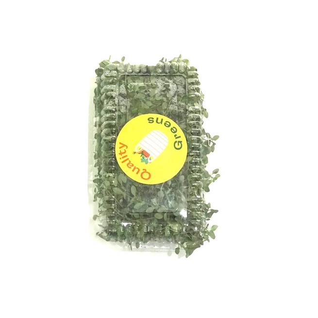 

Thyme Organik 50gr-Jkut