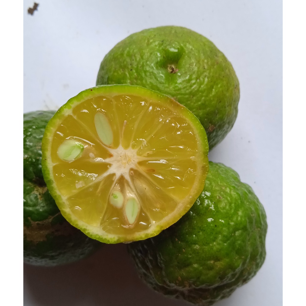 

100Gr Jeruk limo Segar