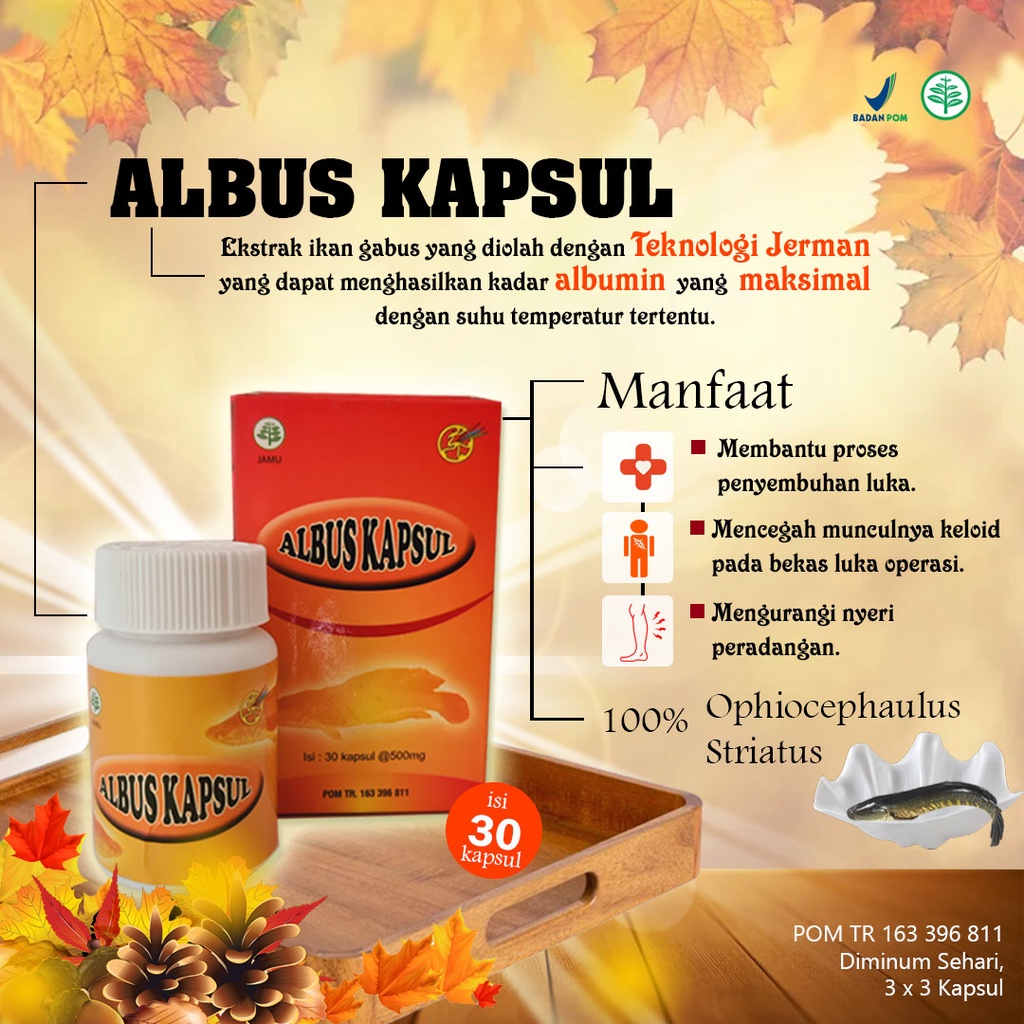 Albus kapsul - Ekstrak ikan Gabus - Albumin - Obat Pasca Operasi Cesar 30 kapsul BPOM