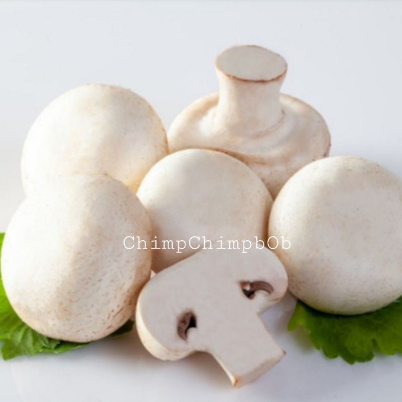 

JAMUR KANCING / CHAMPIGNON / BUTTON MUSHROOM FRESH 500 GR/PACK