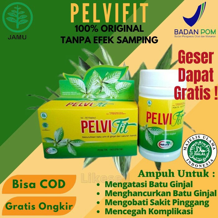 Herbal Batu Ginjal Batu Empedu Pelvifit Naturafit