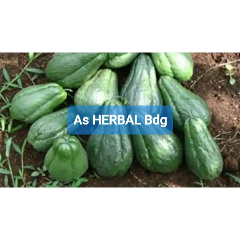 

Labu siam hijau super petik langsung 3 kg-az