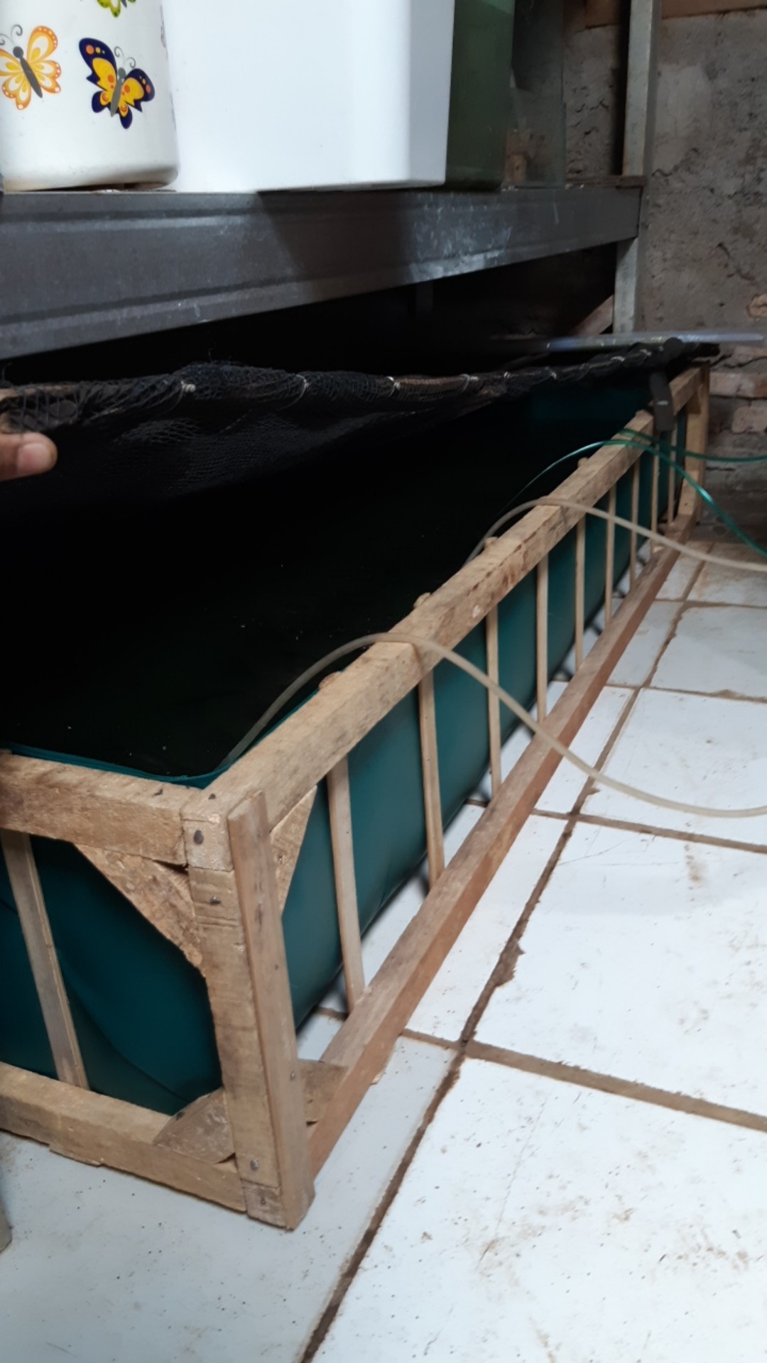 Kolam Terpal Terpaulin Pvc 150x50x25