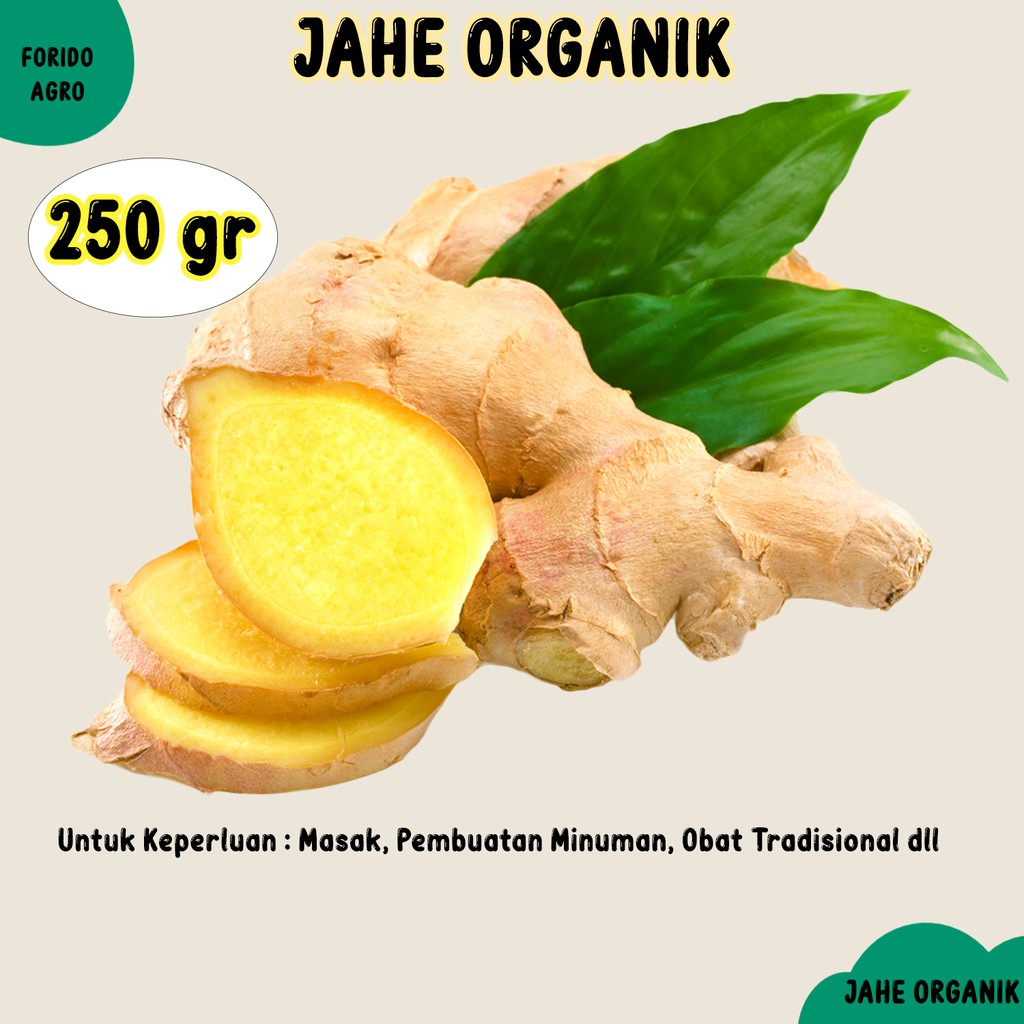 

Jahe Organik Segar 250 gr - Jahe Alami Berkualitas