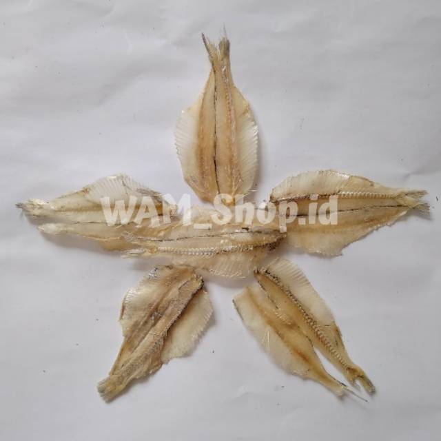 

Ikan asin pakang, ikan rampai, ikan asin tipis, ikan krupuk kemasan 100gram