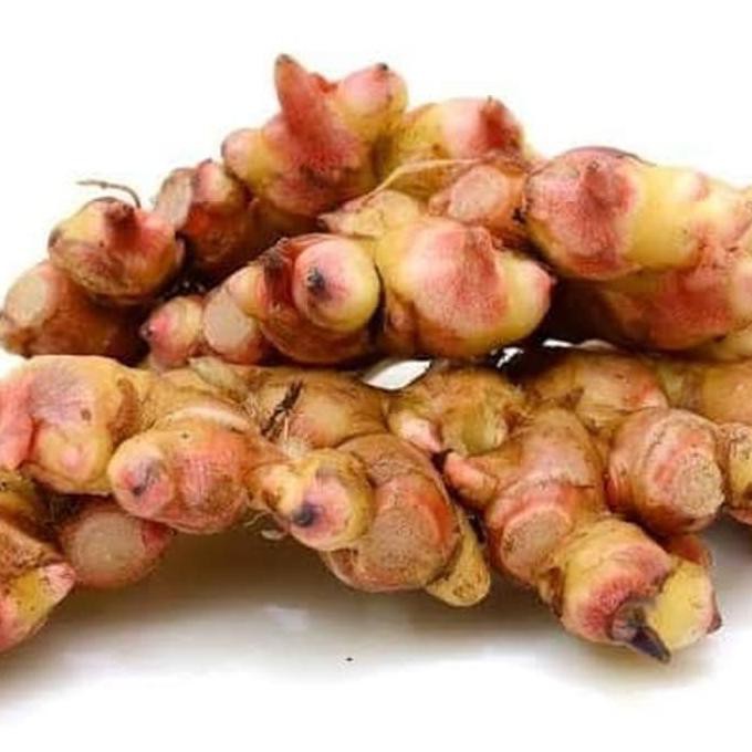 

Produk Terbaik Sari Jahe Merah Bu Sidi Minuman Wedhang Oleh Oleh Solo