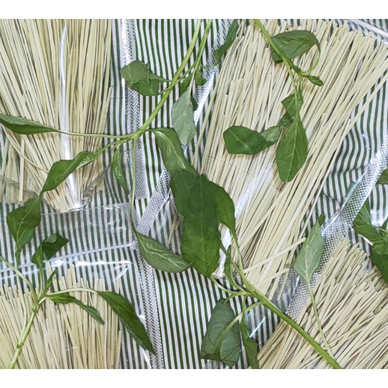 

Mie Bayam "Kanak-Kanak