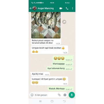 ⭐⭐⭐⭐⭐umpan ikan mas ANTI ZONK salmon jagung_umpan mancing praktis , UMPAN IKAN MAS MUSIM HUJAN , IKAN MAS , UMPAN IKAN MAS