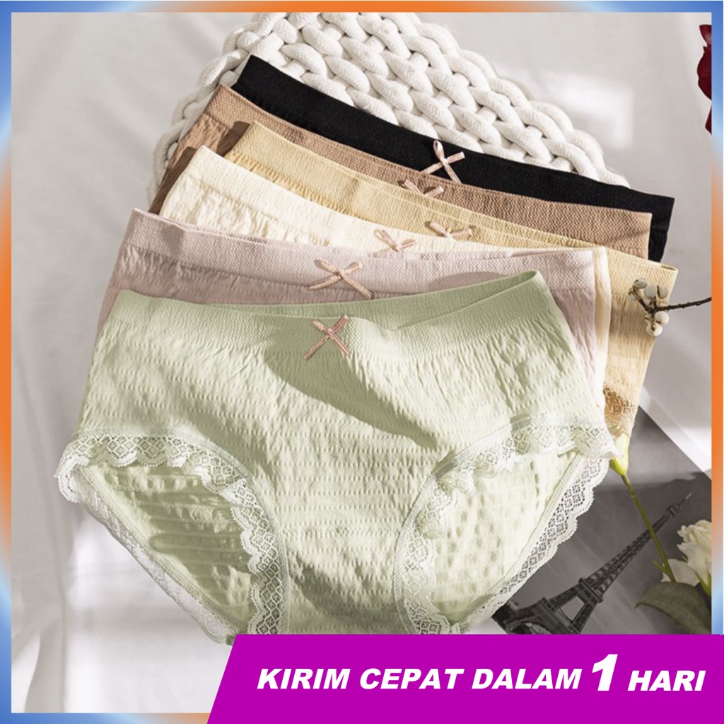 ZEXI Celana Dalam wanita murah / celana dalam wanita dewasa / Moly Korean Style Premium Import