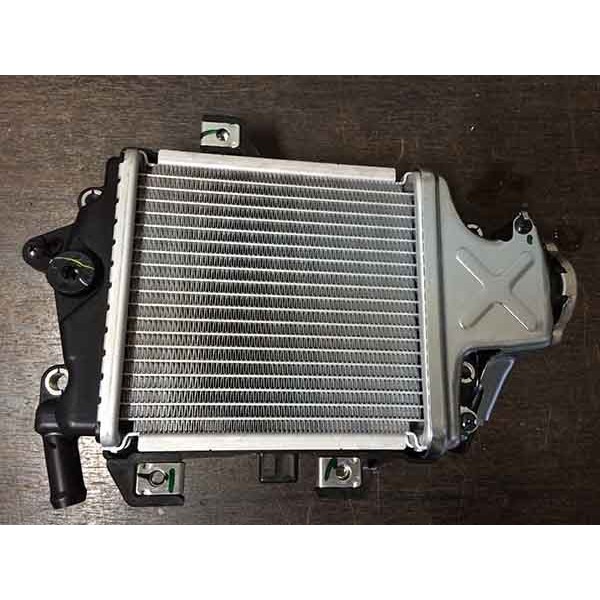Radiator PCX 150 Thailand CBU Build Up - 19100KZY701