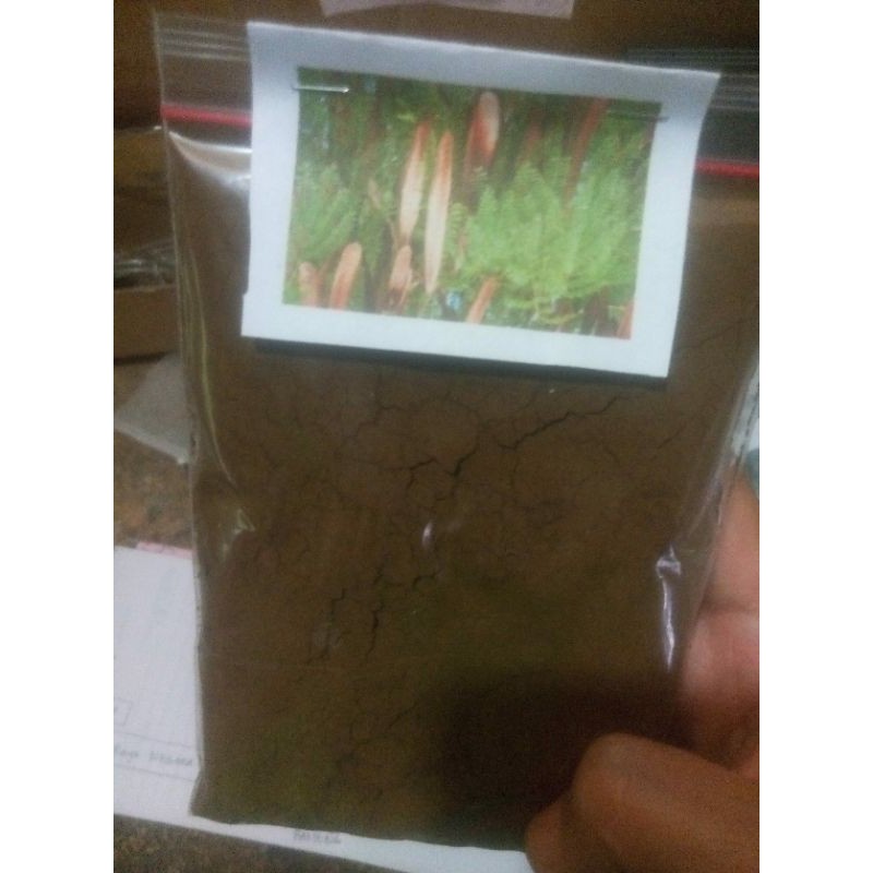 

lamtoro /petai cina bubuk