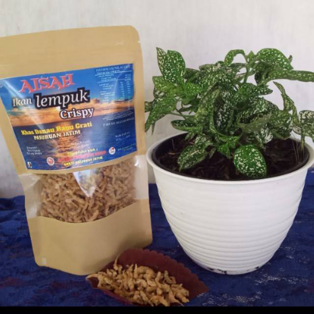 

Lempuk Krispi "Aisah" 200gram ORI PLASTIK STAND