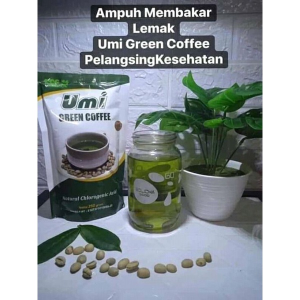 

umi green coffee