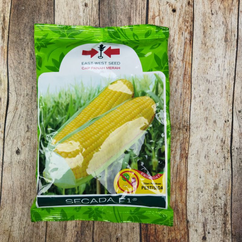 Benih Jagung SECADA F1 Cap Panah Merah 1800 butir
