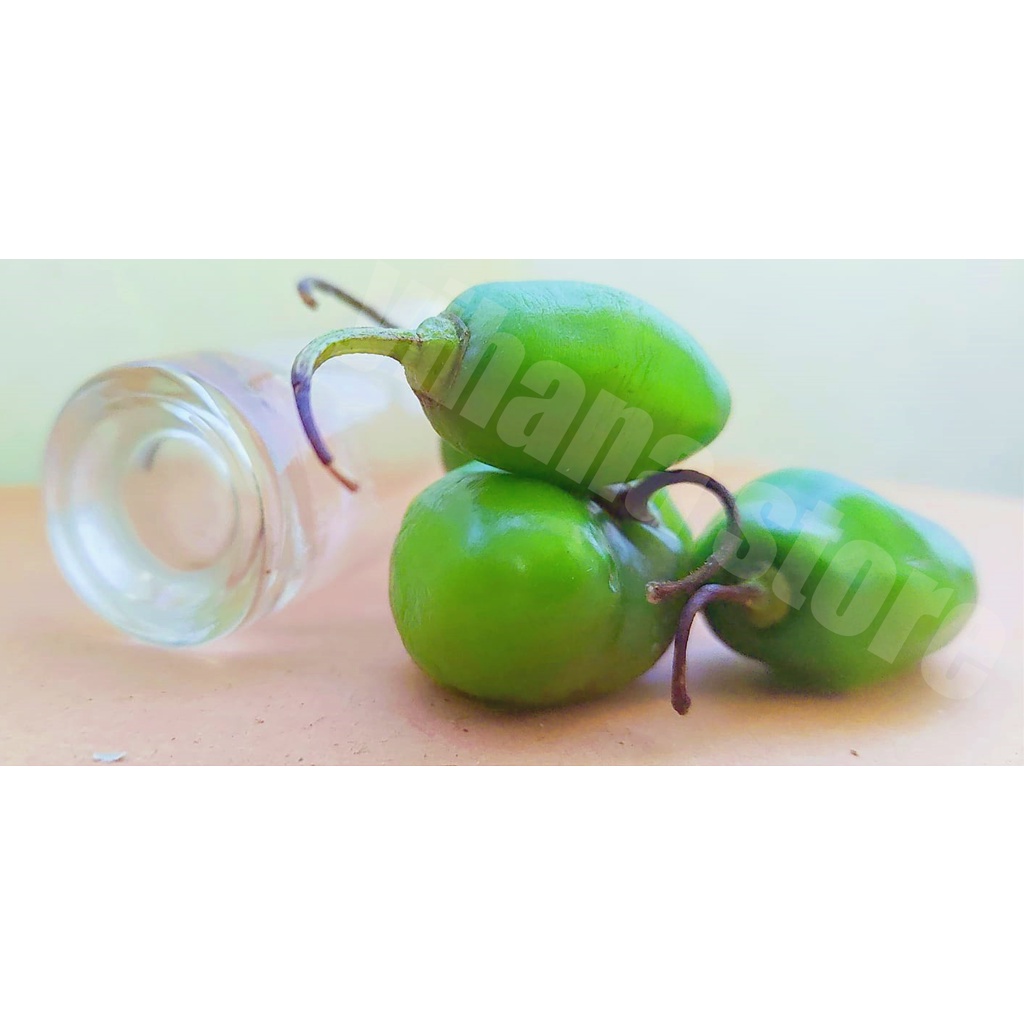 

SUPER PEDASS!!! cabe gembor cabe gendot cabai gembor cabai super gred a di packing pake mesin vakum cabe murah cabe pedas