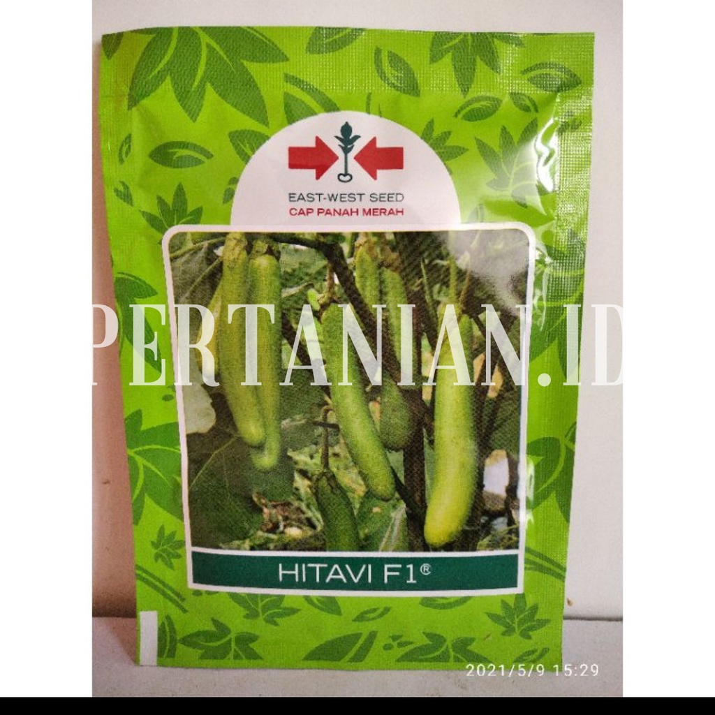 Benih Terong / Bibit Terong Hijau Hibrida Hitavi F1 ~ Cap Panah Merah