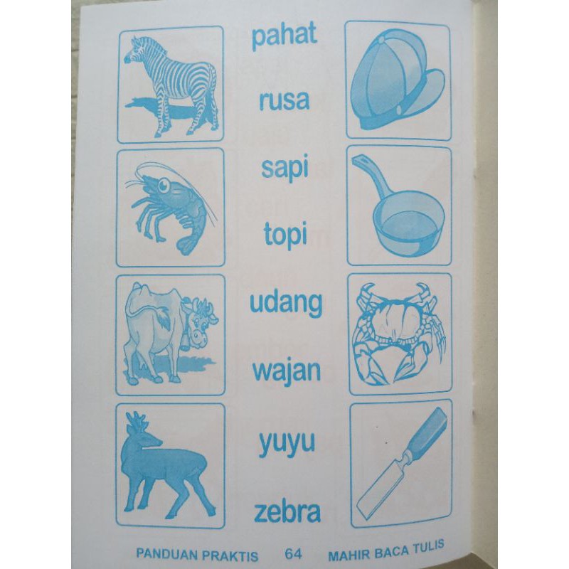 Buku Mahir  Baca Tulis Panduan Praktis