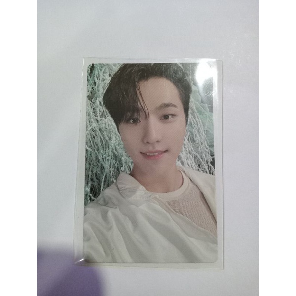 PC/Photocard Dino Seventeen Sector 17