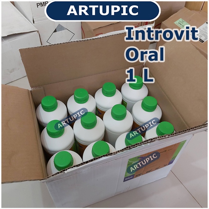 Introvit Oral 1 Liter Multivitamin Lengkap Asam Amino Ternak Hewan Vitamin Holland Mempercepat Pertumbuhan dan Meningkatkan Produksi Telur Daya Tahan Tubuh Mengatasi Stres Stamina Daging Telur Susu Ayam Sapi Kambing Babi Domba