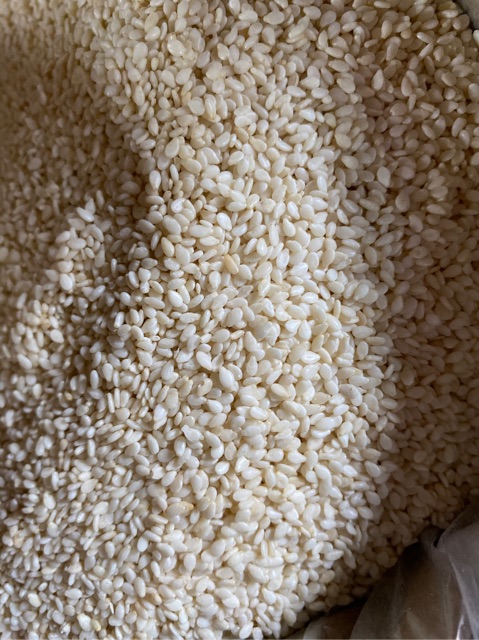 Wijen putih / white sesame seed 100gram
